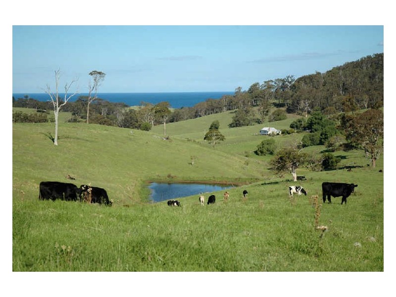 “Lustleigh Park”/90 Sherringham Lane, Central Tilba NSW 2546