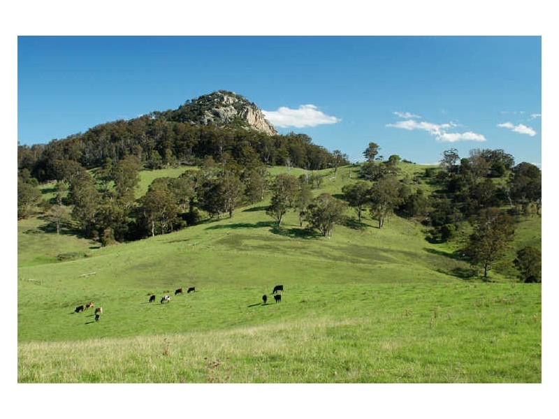 “Lustleigh Park”/90 Sherringham Lane, Central Tilba NSW 2546