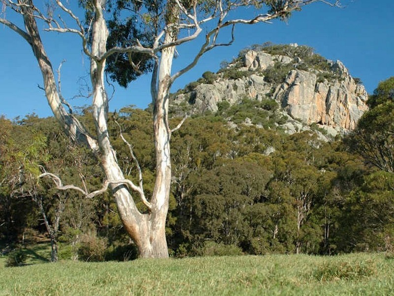 “Lustleigh Park”/90 Sherringham Lane, Central Tilba NSW 2546