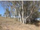 Lot A Mount Pleasant Road, Bega NSW 2550