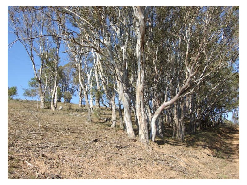 Lot A Mount Pleasant Road, Bega NSW 2550