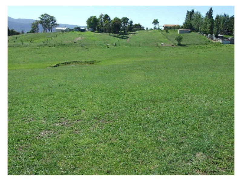Lot 4 Parkes & Loftus Street, Bemboka NSW 2550