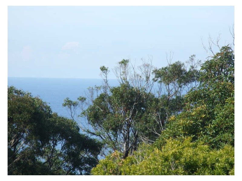 87 Bay Street, Tathra NSW 2550