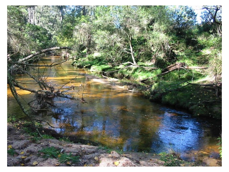 Lot 1 Nutleys Creek Rd, Quaama NSW 2550