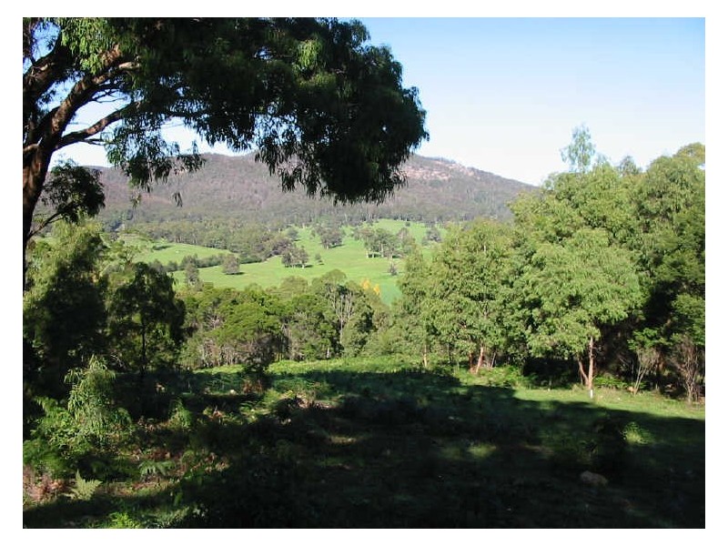 Lot 1 Nutleys Creek Rd, Quaama NSW 2550