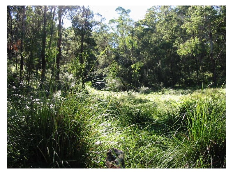 Lot 1 Nutleys Creek Rd, Quaama NSW 2550