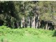 Lot 1 Nutleys Creek Rd, Quaama NSW 2550