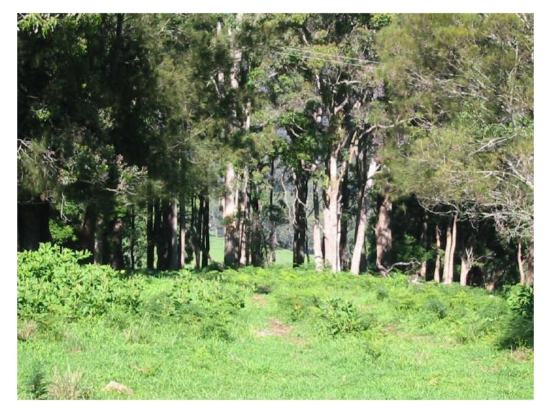 Lot 1 Nutleys Creek Rd, Quaama NSW 2550