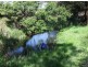 Bega NSW 2550