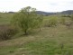375 South Wolumla Road, Wolumla NSW 2550
