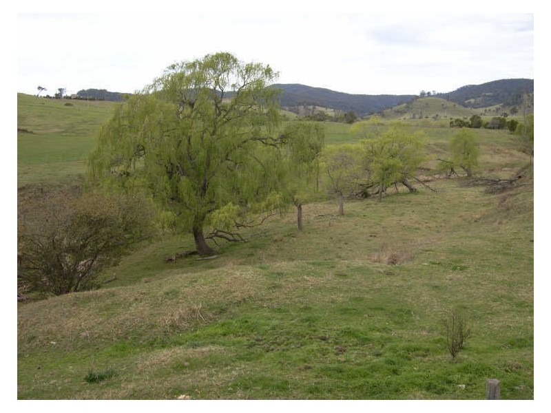 375 South Wolumla Road, Wolumla NSW 2550