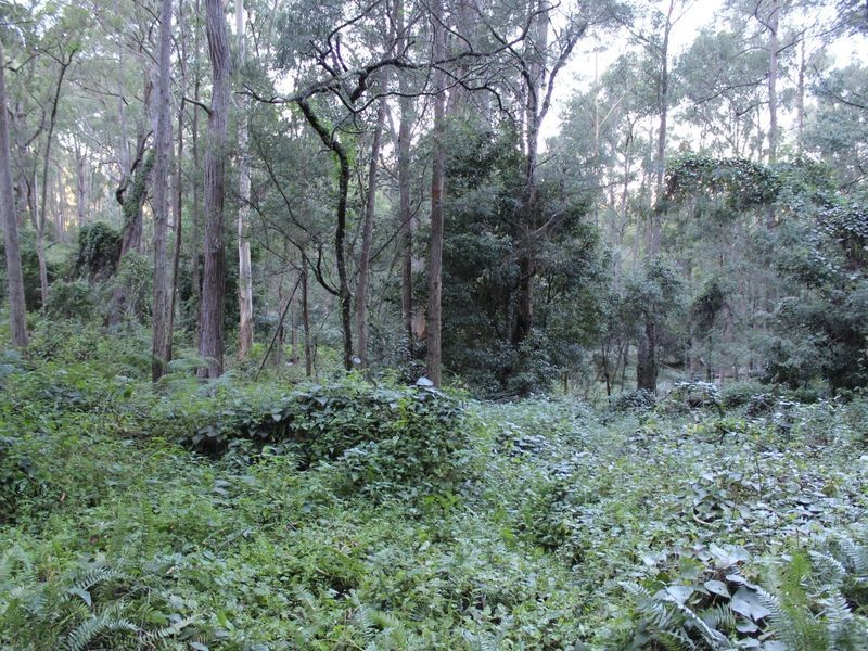 325 Wents Road, Numbugga NSW 2550