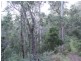 325 Wents Road, Numbugga NSW 2550