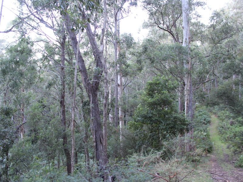 325 Wents Road, Numbugga NSW 2550