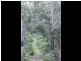 325 Wents Road, Numbugga NSW 2550