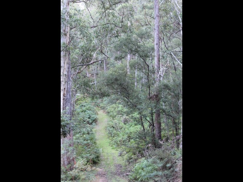 325 Wents Road, Numbugga NSW 2550