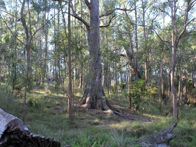 325 Wents Road, Numbugga NSW 2550