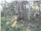 325 Wents Road, Numbugga NSW 2550