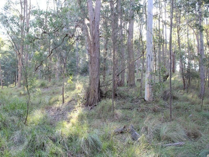 325 Wents Road, Numbugga NSW 2550