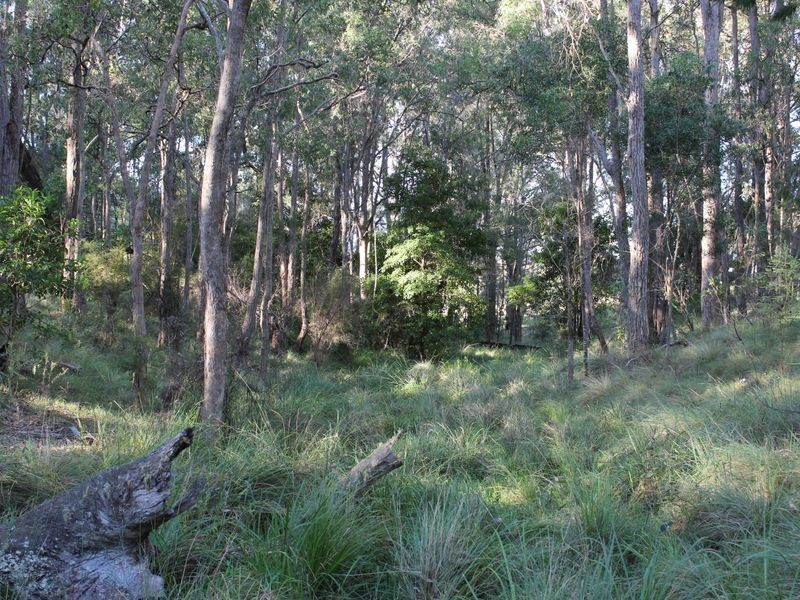 325 Wents Road, Numbugga NSW 2550