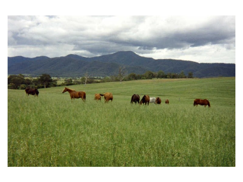 ‘Bonnie View”/ Snowy Mountains Highway, Bemboka NSW 2550