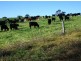 ‘Bonnie View”/ Snowy Mountains Highway, Bemboka NSW 2550