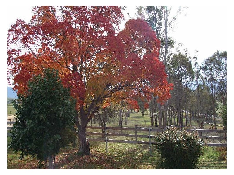 ‘Bonnie View”/ Snowy Mountains Highway, Bemboka NSW 2550