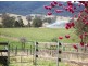 ‘Bonnie View”/ Snowy Mountains Highway, Bemboka NSW 2550