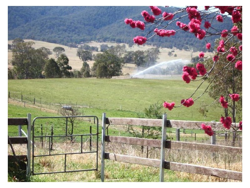 ‘Bonnie View”/ Snowy Mountains Highway, Bemboka NSW 2550
