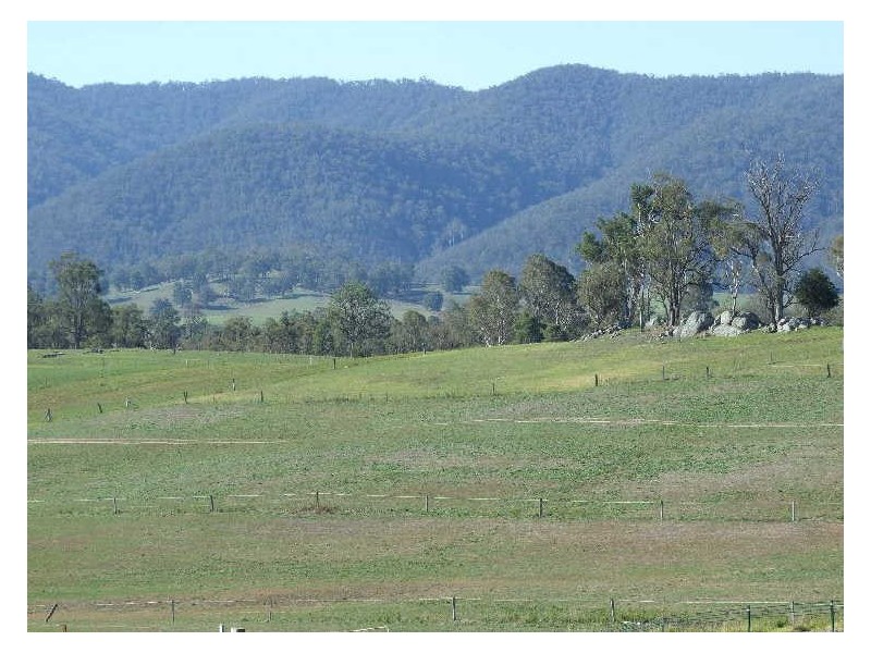 ‘Bonnie View”/ Snowy Mountains Highway, Bemboka NSW 2550