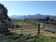 ‘Bonnie View”/ Snowy Mountains Highway, Bemboka NSW 2550