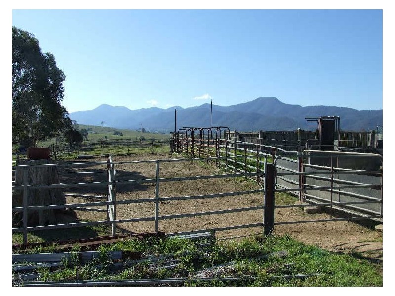 ‘Bonnie View”/ Snowy Mountains Highway, Bemboka NSW 2550