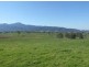‘Bonnie View”/ Snowy Mountains Highway, Bemboka NSW 2550