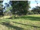 Cobargo NSW 2550