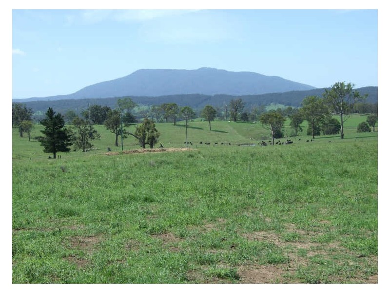 Lot 1 Rankins Road, Angledale NSW 2550