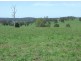 Lot 1 Rankins Road, Angledale NSW 2550
