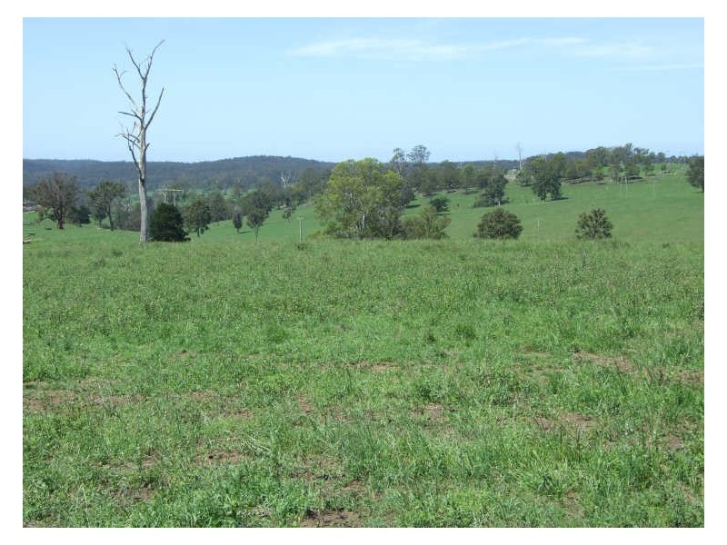 Lot 1 Rankins Road, Angledale NSW 2550