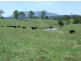 Lot 2 Rankins Road, Cobargo NSW 2550