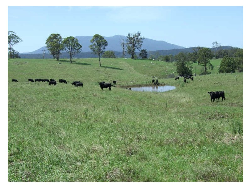 Lot 2 Rankins Road, Cobargo NSW 2550