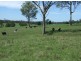 Lot 2 Rankins Road, Cobargo NSW 2550