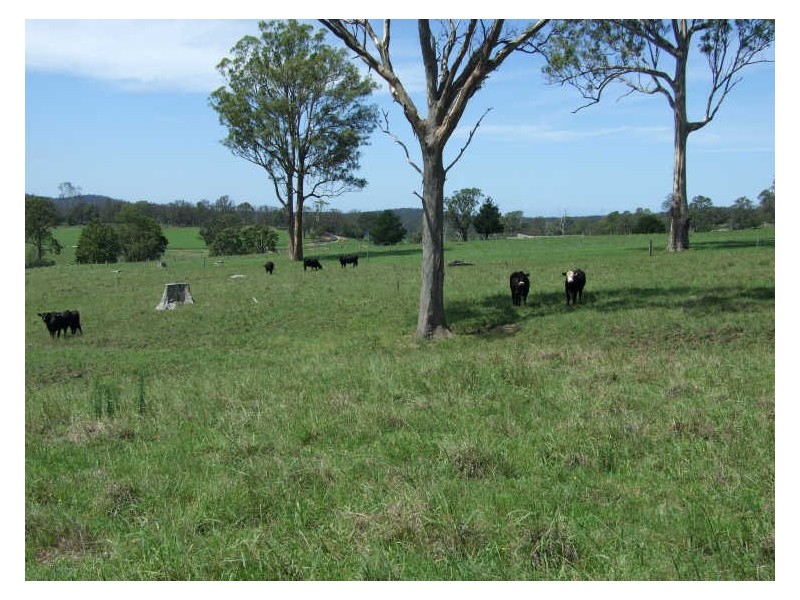 Lot 2 Rankins Road, Cobargo NSW 2550