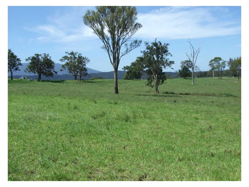 Lot 3 Rankins Road, Cobargo NSW 2550