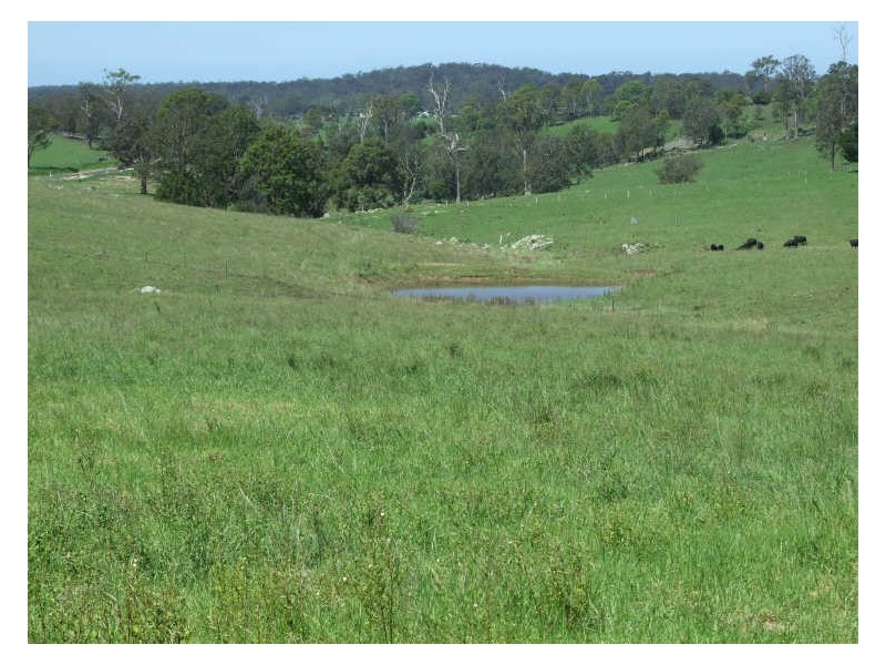 Lot 3 Rankins Road, Cobargo NSW 2550