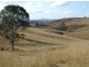 Lot 11 Myrtle Mountain Road, Candelo NSW 2550