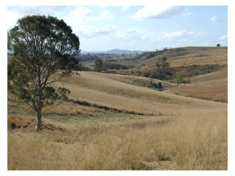 Lot 11 Myrtle Mountain Road, Candelo NSW 2550