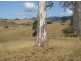 Lot 11 Myrtle Mountain Road, Candelo NSW 2550