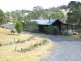 280 Warrigal Range Road, Brogo NSW 2550