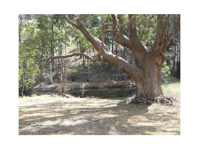 280 Warrigal Range Road, Brogo NSW 2550