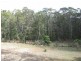 1086 Furners Road, Bemboka NSW 2550