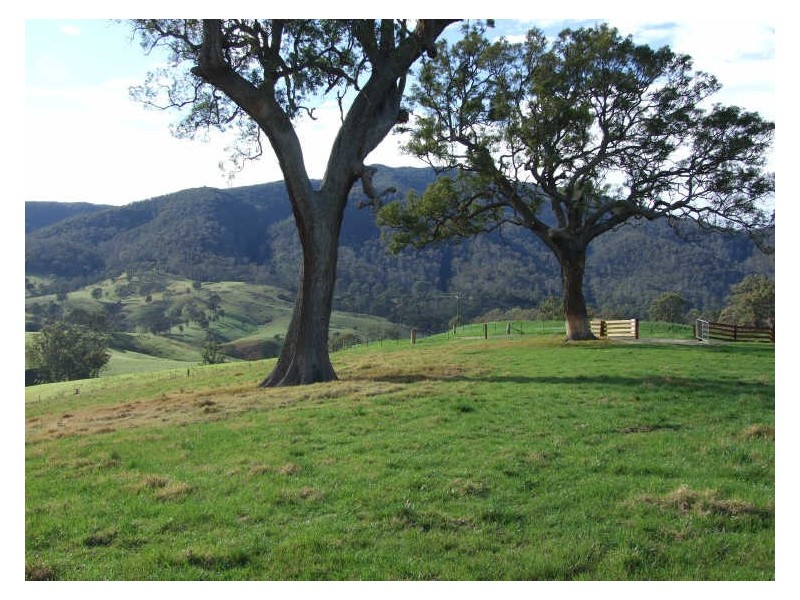 29 Bellemount Lane, Brogo NSW 2550